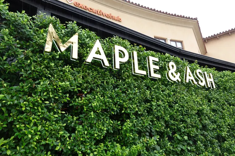 Maple and Ash entrance sign set into a green hedge wall